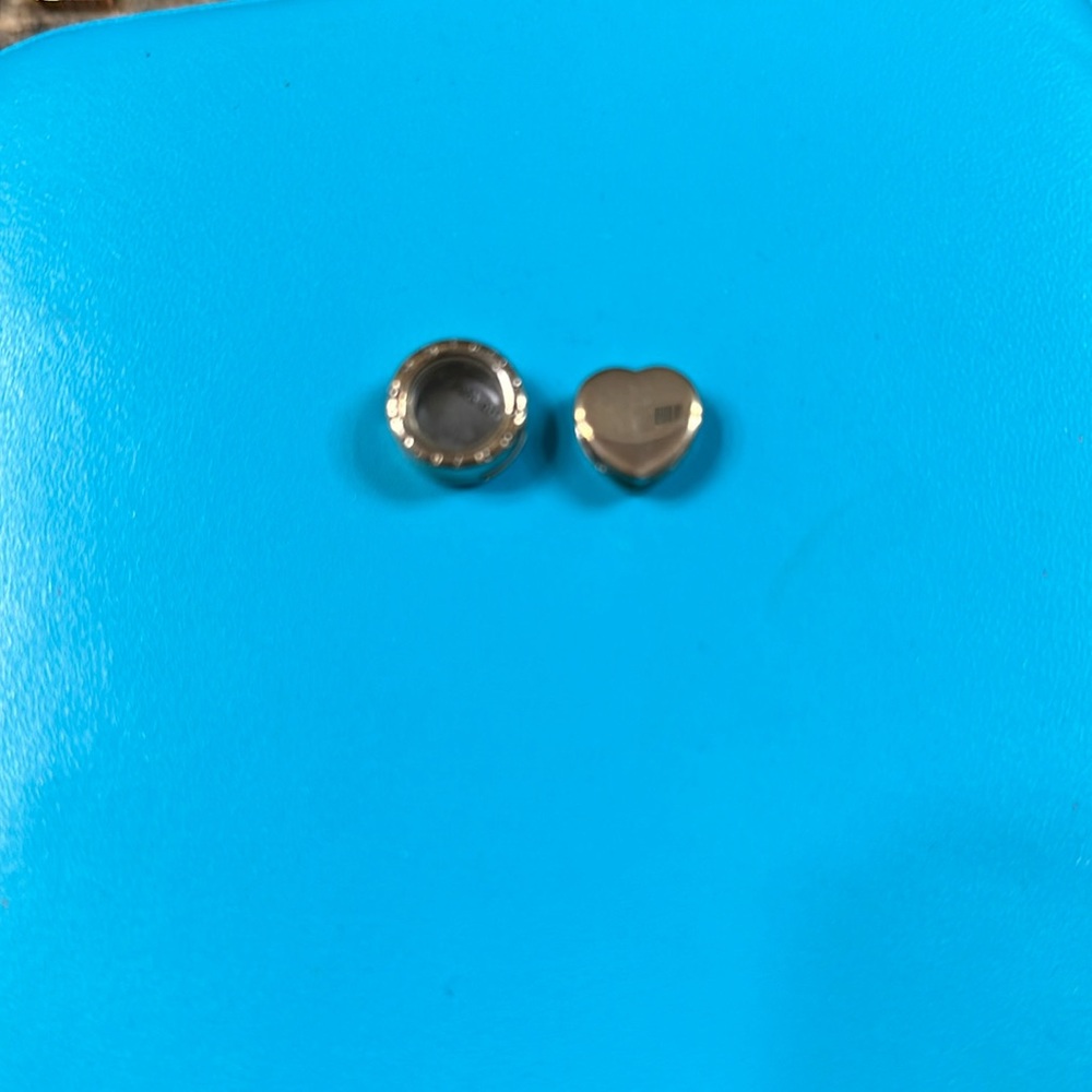 Pandora Clip Charms